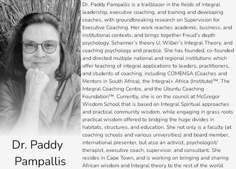 Dr Paddy Pampallis